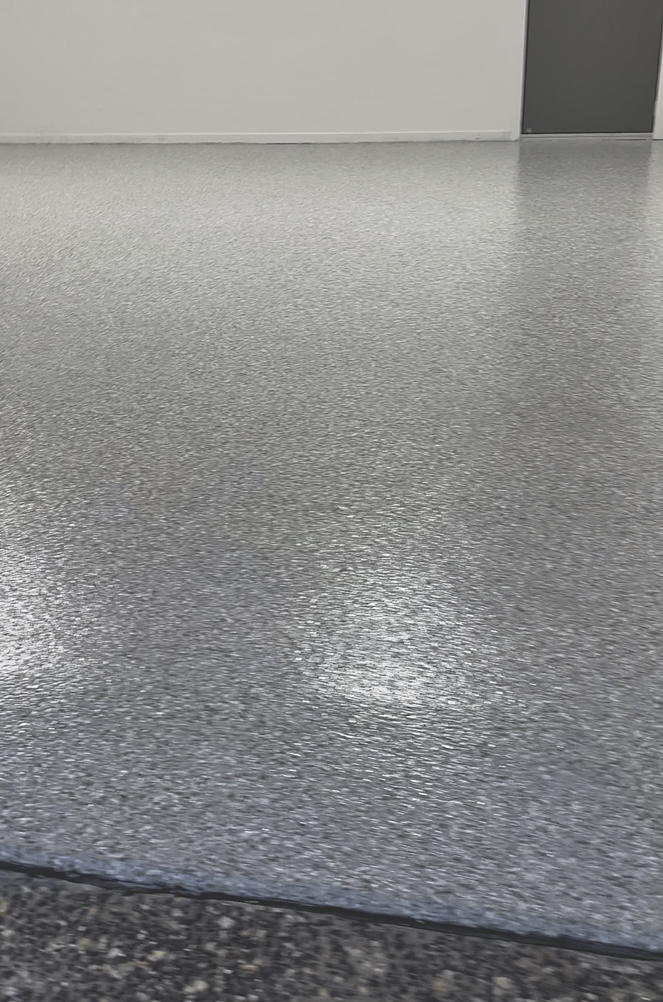 Camo (L) - Grey Base